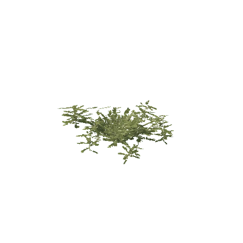 Plant 67_LOD_2